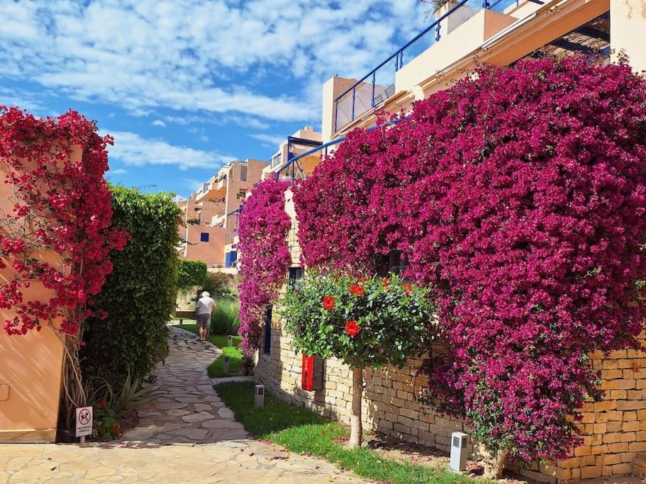 Sea View Cozy Apartment La Tanita Мохакар Екстериор снимка